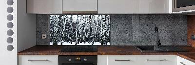 Dekorační panel sklo Břízy zima