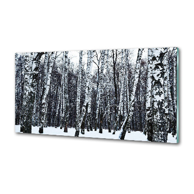 Dekorační panel sklo Břízy zima