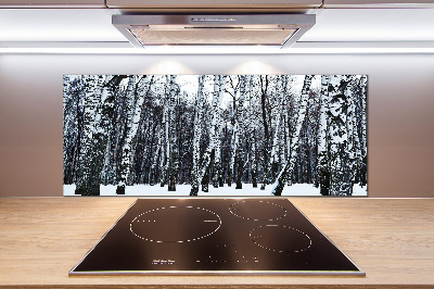 Dekorační panel sklo Břízy zima