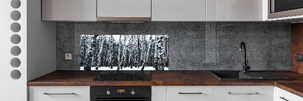 Dekorační panel sklo Břízy zima