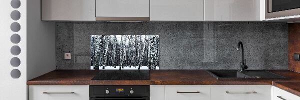 Dekorační panel sklo Břízy zima