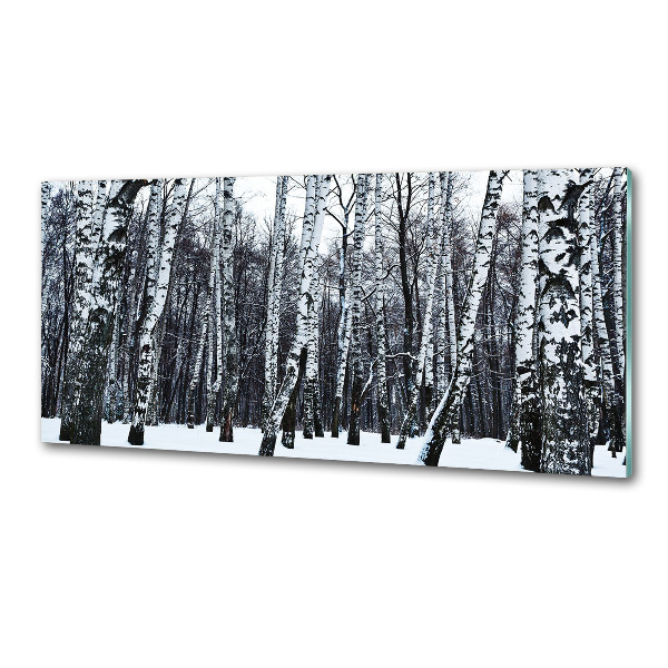 Dekorační panel sklo Břízy zima