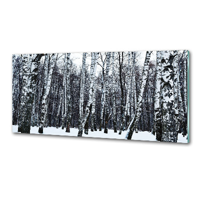Dekorační panel sklo Břízy zima