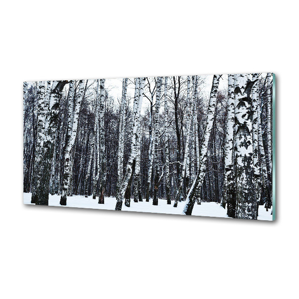 Dekorační panel sklo Břízy zima