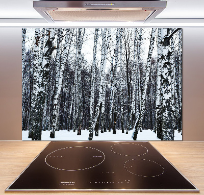 Dekorační panel sklo Břízy zima