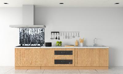 Dekorační panel sklo Břízy zima