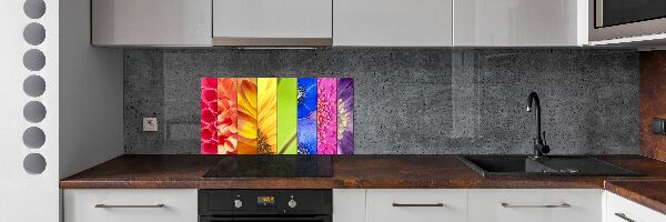 Panel do kuchyně Barevné květiny