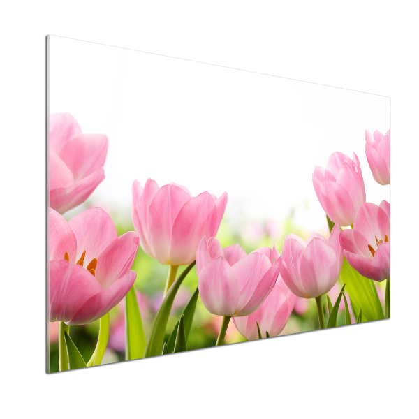 Panel do kuchyně Růžové tulipány