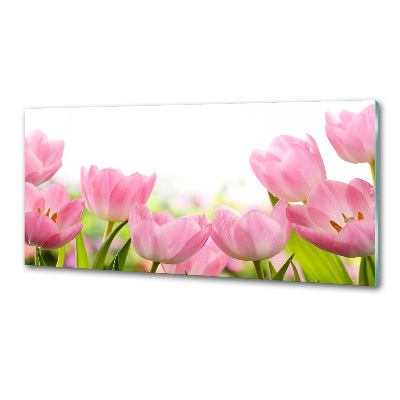 Panel do kuchyně Růžové tulipány
