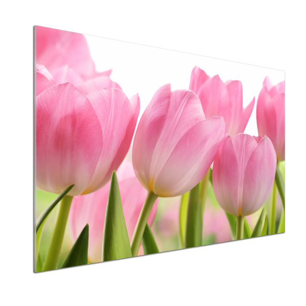 Panel do kuchyně Růžové tulipány