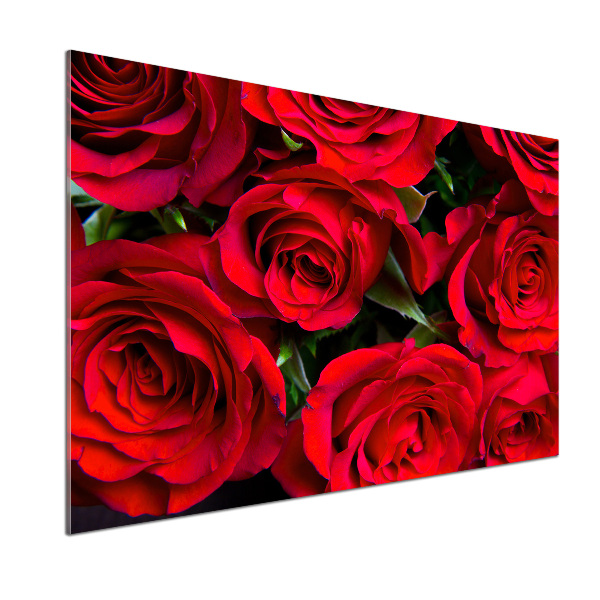 Panel do kuchyně Červené růže