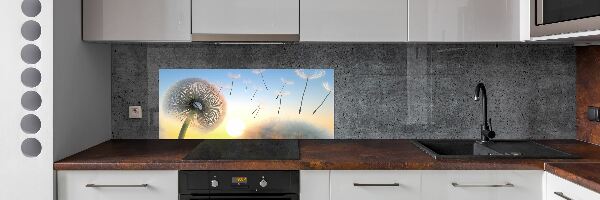 Dekorační panel sklo Pampeliška