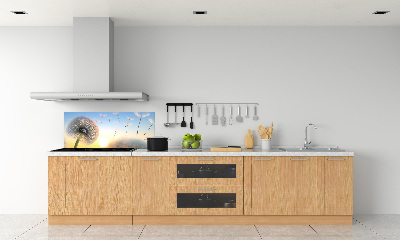 Dekorační panel sklo Pampeliška