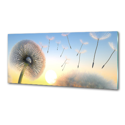 Dekorační panel sklo Pampeliška