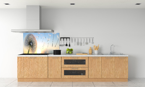 Dekorační panel sklo Pampeliška