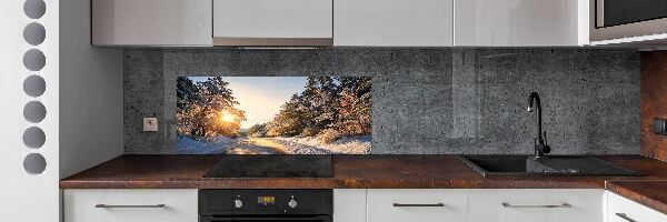 Panel do kuchyně Cesta v lese zima