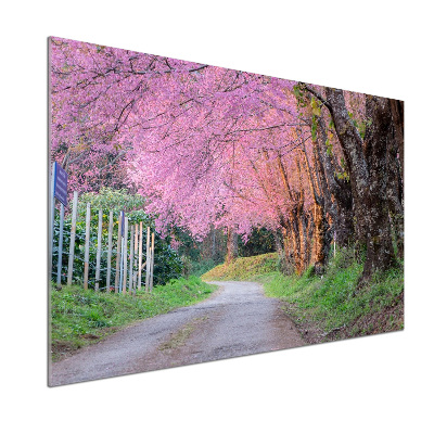 Dekorační panel sklo Květy višně