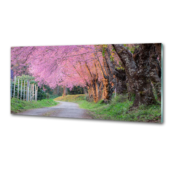 Dekorační panel sklo Květy višně