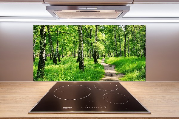 Dekorační panel sklo Břízový les