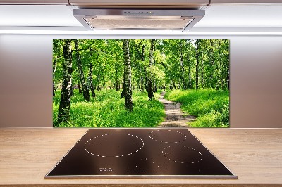 Dekorační panel sklo Břízový les