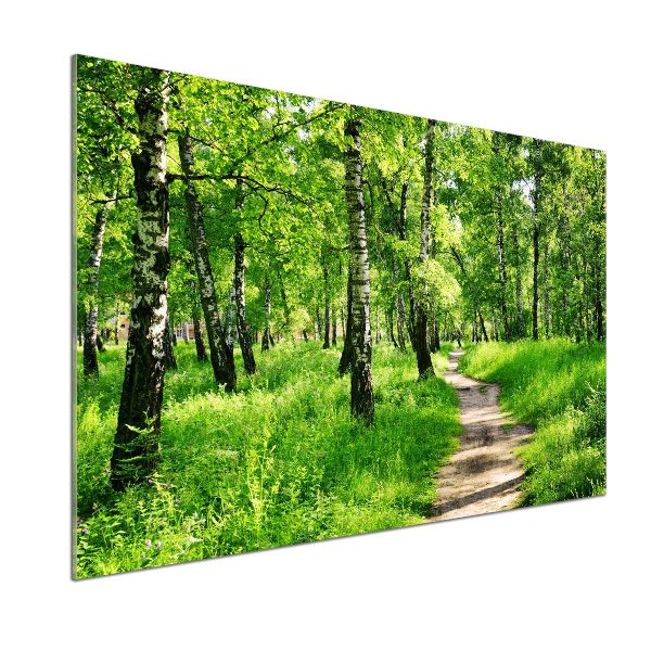 Dekorační panel sklo Břízový les