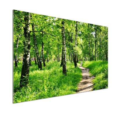 Dekorační panel sklo Břízový les