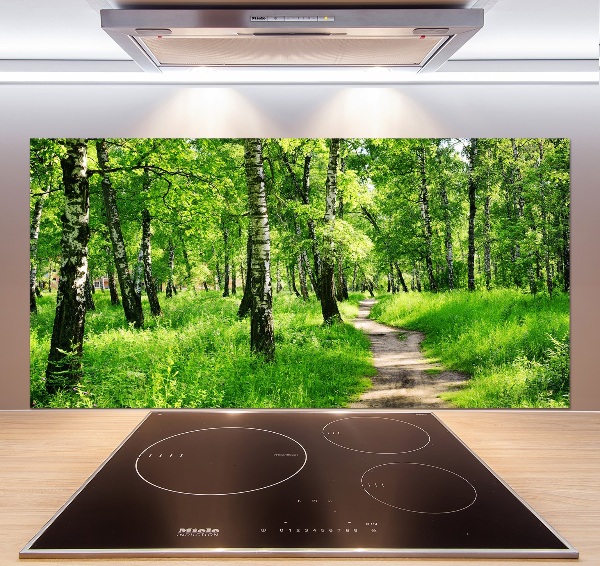 Dekorační panel sklo Břízový les