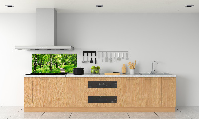 Dekorační panel sklo Břízový les