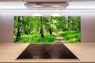 Dekorační panel sklo Břízový les