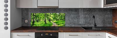 Dekorační panel sklo Břízový les