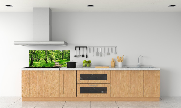 Dekorační panel sklo Břízový les