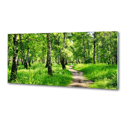 Dekorační panel sklo Břízový les