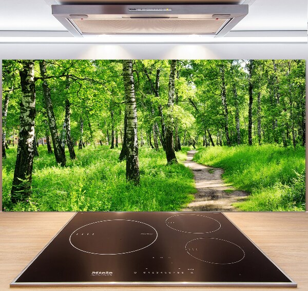 Dekorační panel sklo Břízový les