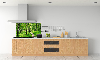 Dekorační panel sklo Břízový les