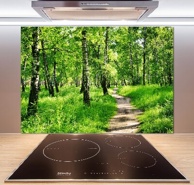 Dekorační panel sklo Břízový les
