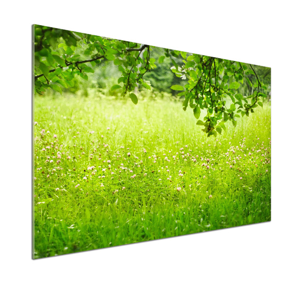 Dekorační panel sklo zelená louka