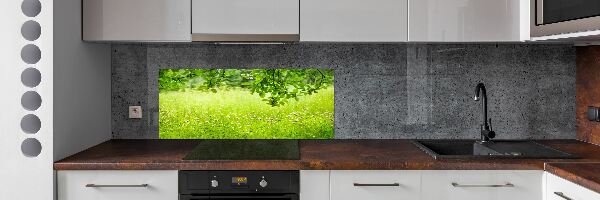Dekorační panel sklo zelená louka
