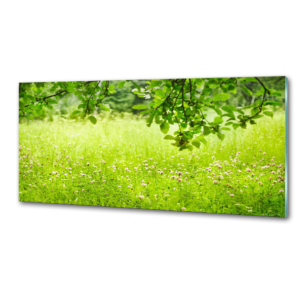 Dekorační panel sklo zelená louka