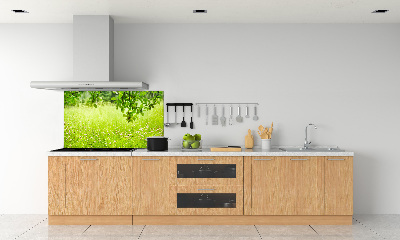 Dekorační panel sklo zelená louka