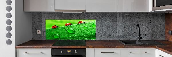 Panel lacobel Berušky na trávě