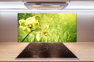 Skleněný panel do kuchynské linky Orchidej