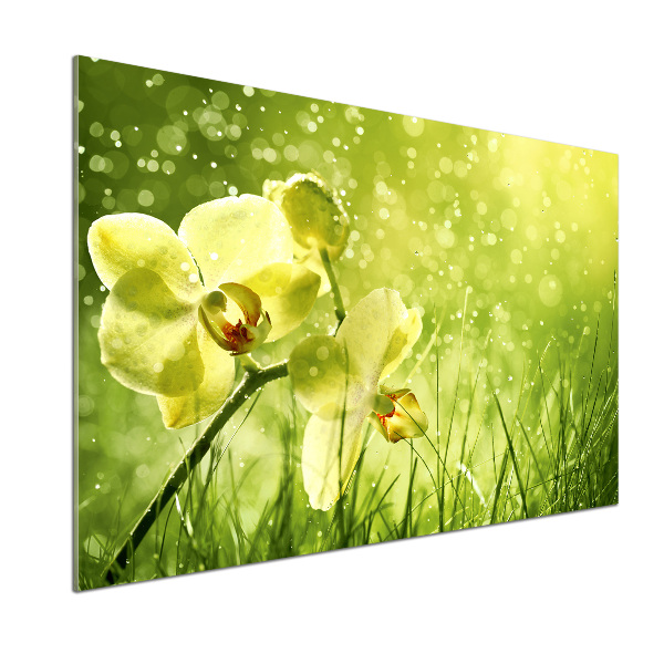 Skleněný panel do kuchynské linky Orchidej