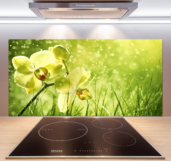 Skleněný panel do kuchynské linky Orchidej