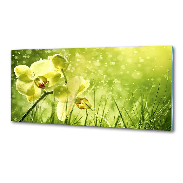 Skleněný panel do kuchynské linky Orchidej