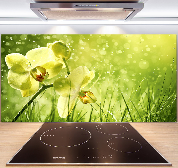 Skleněný panel do kuchynské linky Orchidej