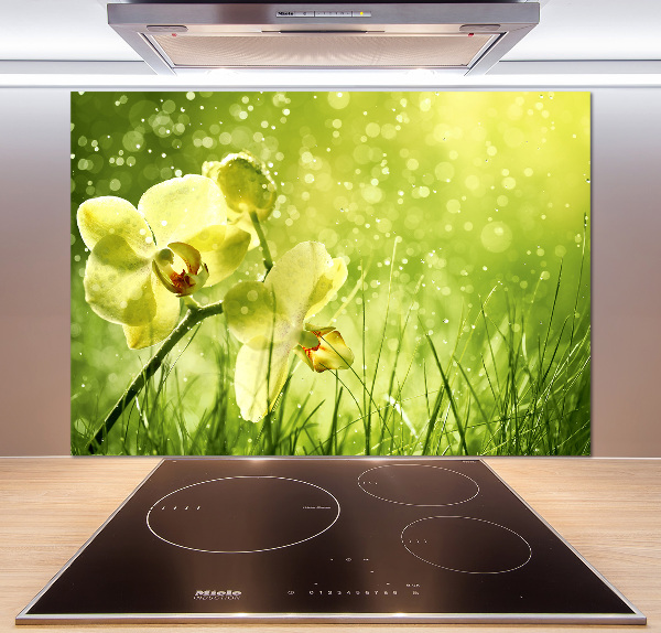 Skleněný panel do kuchynské linky Orchidej