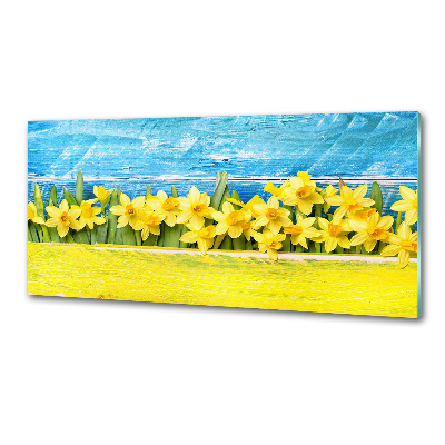 Skleněný panel do kuchyně Narcisy