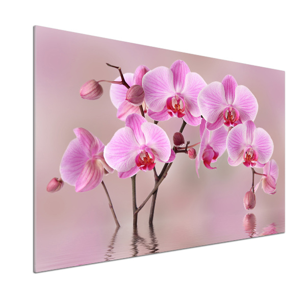 Panel do kuchyně Růžová orchidej