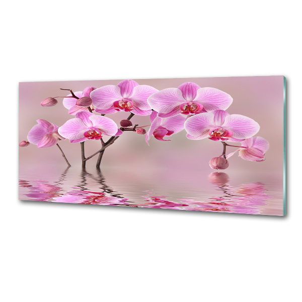 Panel do kuchyně Růžová orchidej