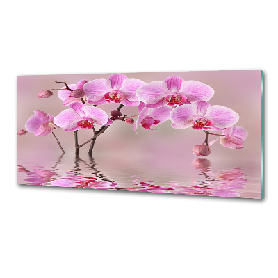 Panel do kuchyně Růžová orchidej